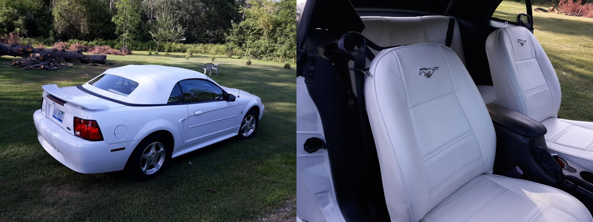 Auto Upholstery Michigan